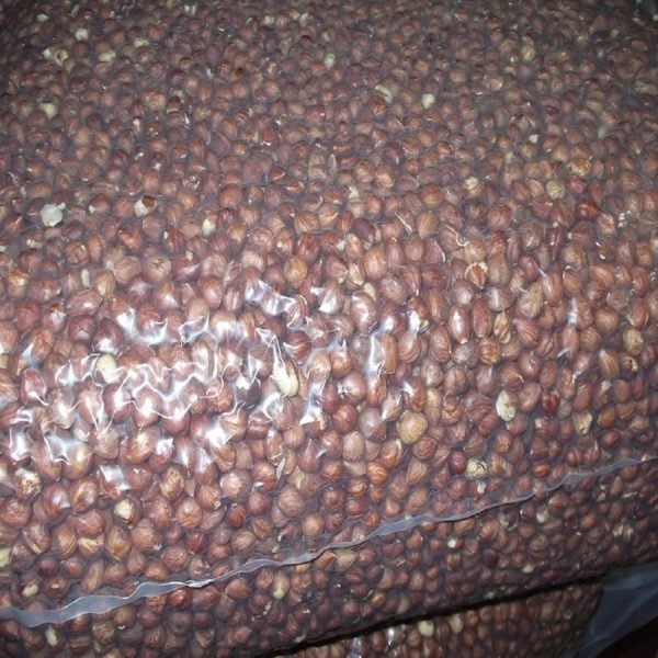 Hazelnuts-1 Hazelnuts