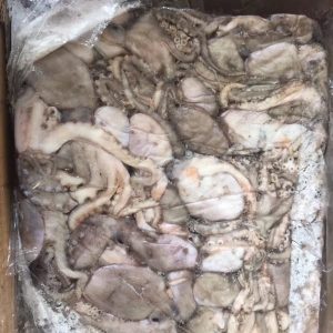frozen octopus